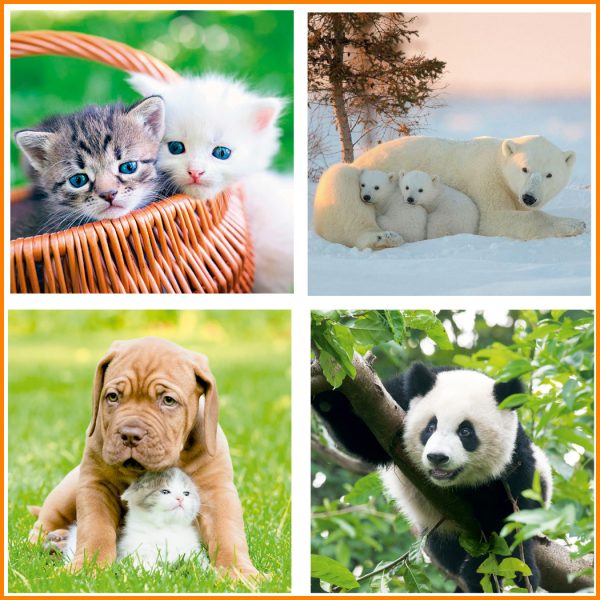 Sobremesas 55 con Mascotas FOTOS DE ANIMALES - Imagen 3