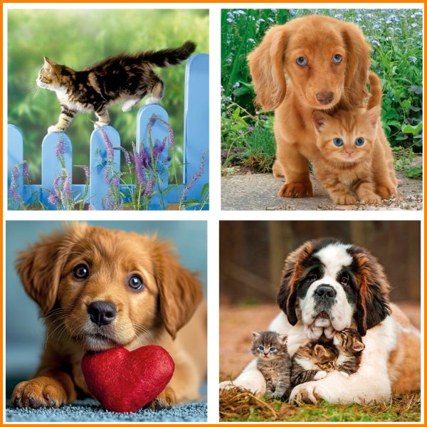 Sobremesas 55 con Mascotas FOTOS DE ANIMALES - Imagen 5